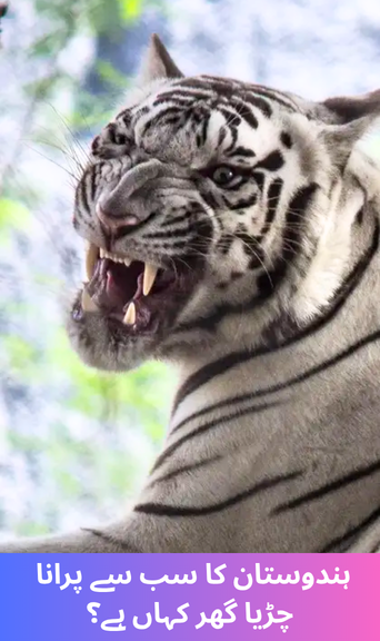 Where is India's Oldest Zoo Located?